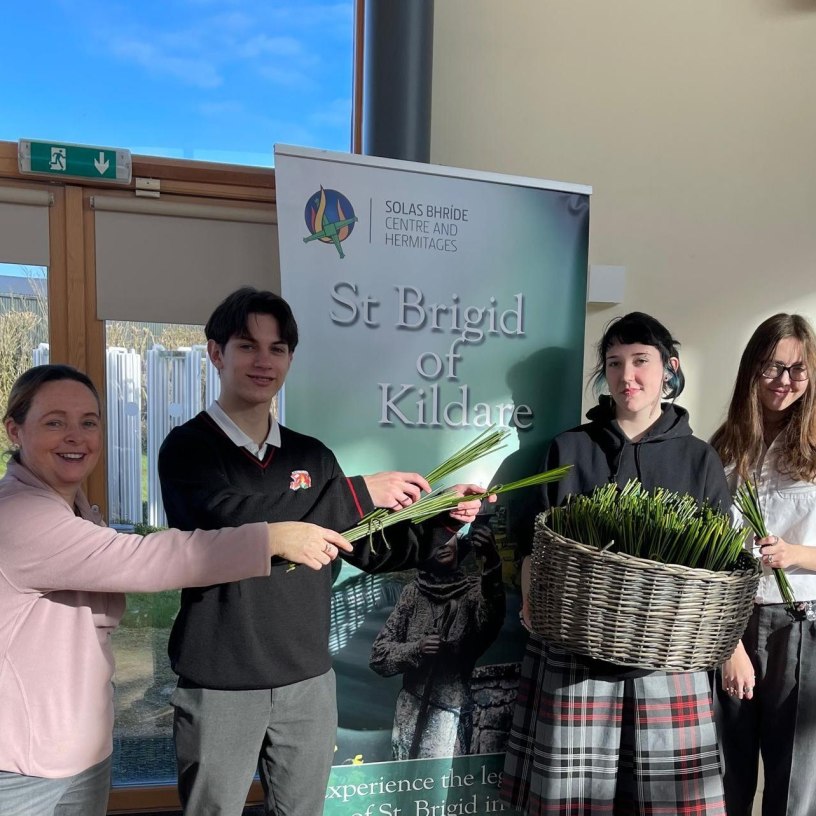 Kildare Town Community School helping prepare rushes in preparation for St Brigids Day